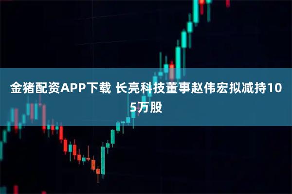 金猪配资APP下载 长亮科技董事赵伟宏拟减持105万股